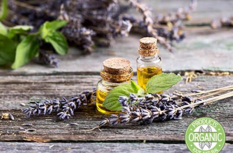 Zabok - zabok.org - Florihana - Organska eterična ulja i hidrolati - BIO TERRA