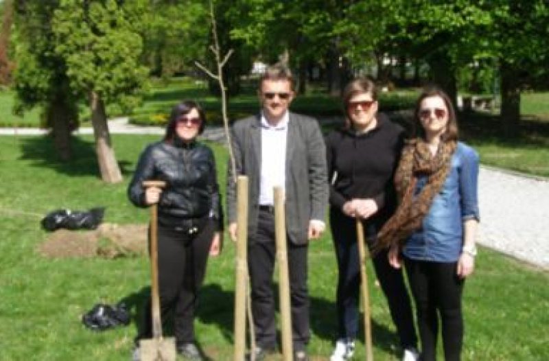 Zabok - zabok.org - Forumaši poklonili najdugoviječnije stablo Parku obitelji Vranicany